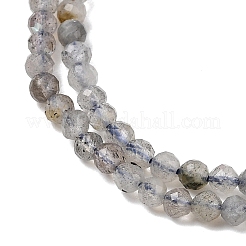 Природные лабрадорита бисер нитей&nbsp;LS-G-RM250104-E8