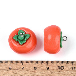 Подвески из непрозрачной смолы&nbsp;RESI-N050-17P