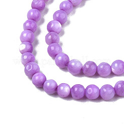 Нити бусин из натуральных пресноводных ракушек&nbsp;X-SHEL-N003-24-B04