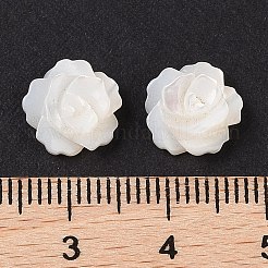 Натуральные белые бусины из ракушек&nbsp;SSHEL-C012-06