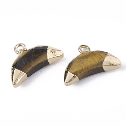 Гальванические естественные очарование тигрового глаза&nbsp;G-S344-48D