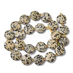 Природные яшмы далматин бисер нитей&nbsp;G-A292-A06-01