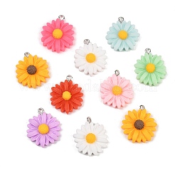 Подвески из непрозрачной смолы 10 шт.&nbsp;RESI-L051-01P