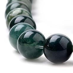 Природные моховой агат бисер нитей&nbsp;G-I199-06-10mm