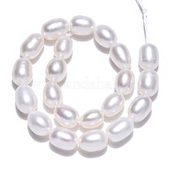 Нити из натурального культивированного пресноводного жемчуга&nbsp;LS-PEAR-N012-06L