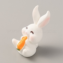 Украшения дисплея смолы&nbsp;DJEW-WH0038-58E