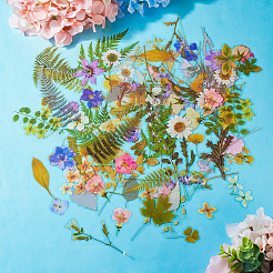 4 пакетик 4 видов самоклеящихся водонепроницаемых наклеек для растений и животных&nbsp;DIY-TA0009-84