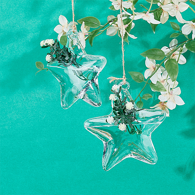 Стеклянные подвесные гидропонные вазы&nbsp;AJEW-WH0752-086B-1