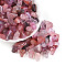 Transparent Acrylic Beads, Nuggets, Two Tone, Flamingo, 11~21x7~12x6~8mm, Hole: 2mm, about 769pcs/500g