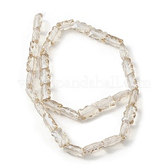 Стеклянные бусины с гальваническим покрытием &nbsp;EGLA-L045-F-PL01