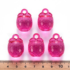 Осенняя тема прозрачные акриловые подвески&nbsp;TACR-T024-04B-906