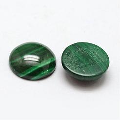 Природные кабошон малахита&nbsp;G-O146-03E