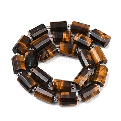 Природных тигровый глаз бисер нитей&nbsp;G-G453-E01-10x14mm