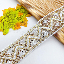 10 ярд полиэфирной кружевной ленты с вышивкой и пайеткой&nbsp;PW-WG94215-03