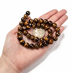 Естественно класса AB тигровый глаз круглые бусины пряди&nbsp;X-G-O047-02-10mm