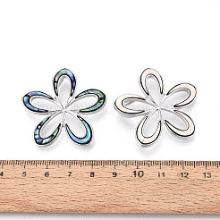 Подвески из сплава и окрашенных натуральных раковин морского ушка&nbsp;PALLOY-T093-05M