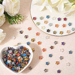 216шт 18 цвета гальванические стеклянные бусины&nbsp;RABO-PA0001-01