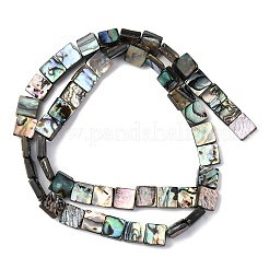 Природные пауа бусы нити&nbsp;BSHE-ZX006-07A