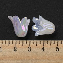 Акриловый шарик крышки&nbsp;OACR-C021-07