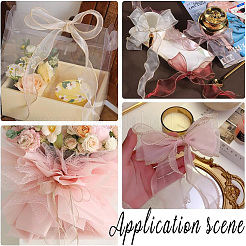 Полиэстер органза ленты&nbsp;SRIB-WH20020-003A-03