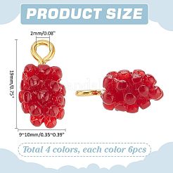 24шт 4 цвета подвески из смолы&nbsp;RESI-PH0002-30
