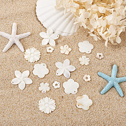 Природные подвески оболочки пресноводных&nbsp;SSHEL-KS0001-01