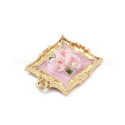 Подвески из эмали и сплава&nbsp;FIND-G089-03G-02