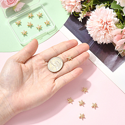 14 шт. латунные бусины с покрытием стойки&nbsp;KK-BBC0022-48