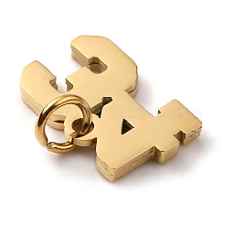 Подвески из хирургической нержавеющей стали 316&nbsp;LS-STAS-WH0022-84G-34