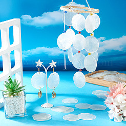 80 шт. подвески-соединители из натуральной ракушки Capiz&nbsp;SHEL-MB0001-01