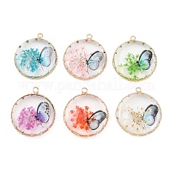 Латунь стекло кулоны&nbsp;FIND-G101-06G