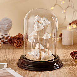 Стеклянный купол&nbsp;ODIS-WH0079-021B