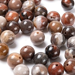 100шт 8мм круглые бусины из натурального окаменелого дерева&nbsp;DIY-LS0002-04