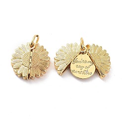 Кулоны из латуни с прозрачным кубическим цирконием&nbsp;LS-KK-D004-14G