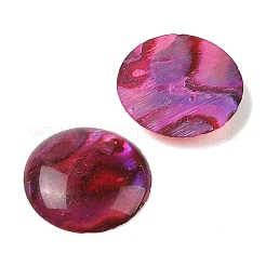 Кабошоны из натуральной раковины морского ушка/ракушки пауа из смолы&nbsp;SSHEL-K003-10MM-02