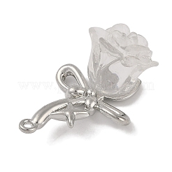 Платинового сплава смолы подвески&nbsp;FIND-U017-07P-02