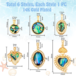 6 шт. 6 стиля подвески из латунных ракушек паве из натурального пауа&nbsp;KK-PH0013-84