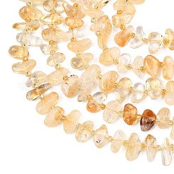 Природный цитрин бисер нитей&nbsp;G-F821-A01-01