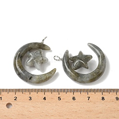 Природные подвески лабрадорита&nbsp;G-Z086-01P-14