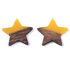 Подвески из смолы и ореха&nbsp;X-RESI-T023-23