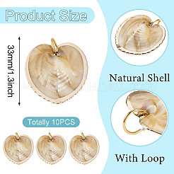 10 шт. Подвески из натуральных ракушек&nbsp;PALLOY-TAC0204