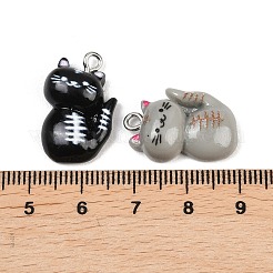 10 шт. 5 цвета непрозрачные подвески из смолы&nbsp;RESI-L051-02P