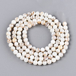 Нити бусин из натуральных пресноводных раковин цвета ab&nbsp;BSHE-T014-40D