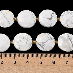 Природные Говлит бисер нитей&nbsp;G-A292-A03-01