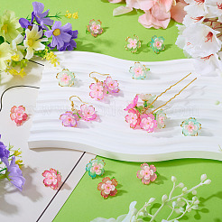 30шт 5 цвета прозрачные акриловые подвески&nbsp;PALLOY-TA00304