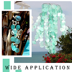 60 шт. 3 цвета натуральный Capiz ракушка соединительные подвески&nbsp;SHEL-SP0001-06