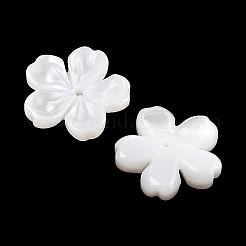 Резные бусины из натуральной белой ракушки&nbsp;SSHEL-I026-12D-05