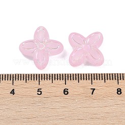 Матовые прозрачные акриловые бусины&nbsp;X1-OACR-P029-09B-01