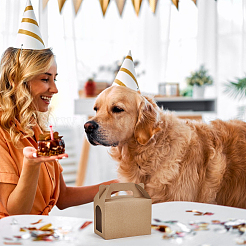 Складные бумажные мини-коробочки для торта&nbsp;CON-WH0089-169