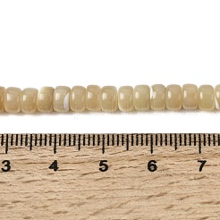 Нити бусин из натуральных трохоидных/трохус ракушек&nbsp;SSHEL-S266-019B-03